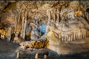 Alcudia: Halbtag Coves dels Hams, Blaue Höhlen und Dokumentarfilm