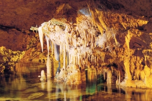 Alcudia: Half-day Caves of Hams, Blue Caves and documentary