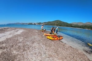 Alcudia: Kayak or Stand-Up Paddleboard Rental