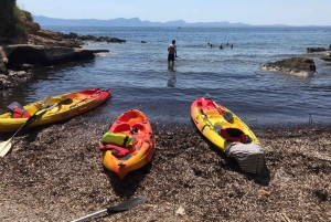 Alcudia: Kayak or Stand-Up Paddleboard Rental