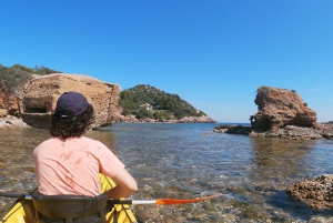 Alcudia: Kayak or Stand-Up Paddleboard Rental