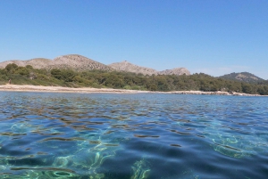 Alcudia: Kayak or Stand-Up Paddleboard Rental