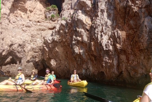 Alcudia: Kayak or Stand-Up Paddleboard Rental