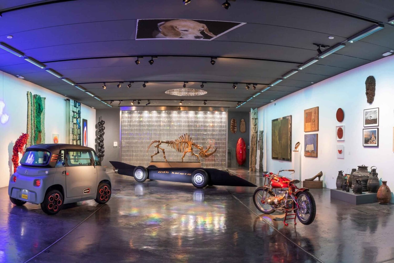 Alcudia : Billet d'entrée au Musée Sa Bassa Blanca