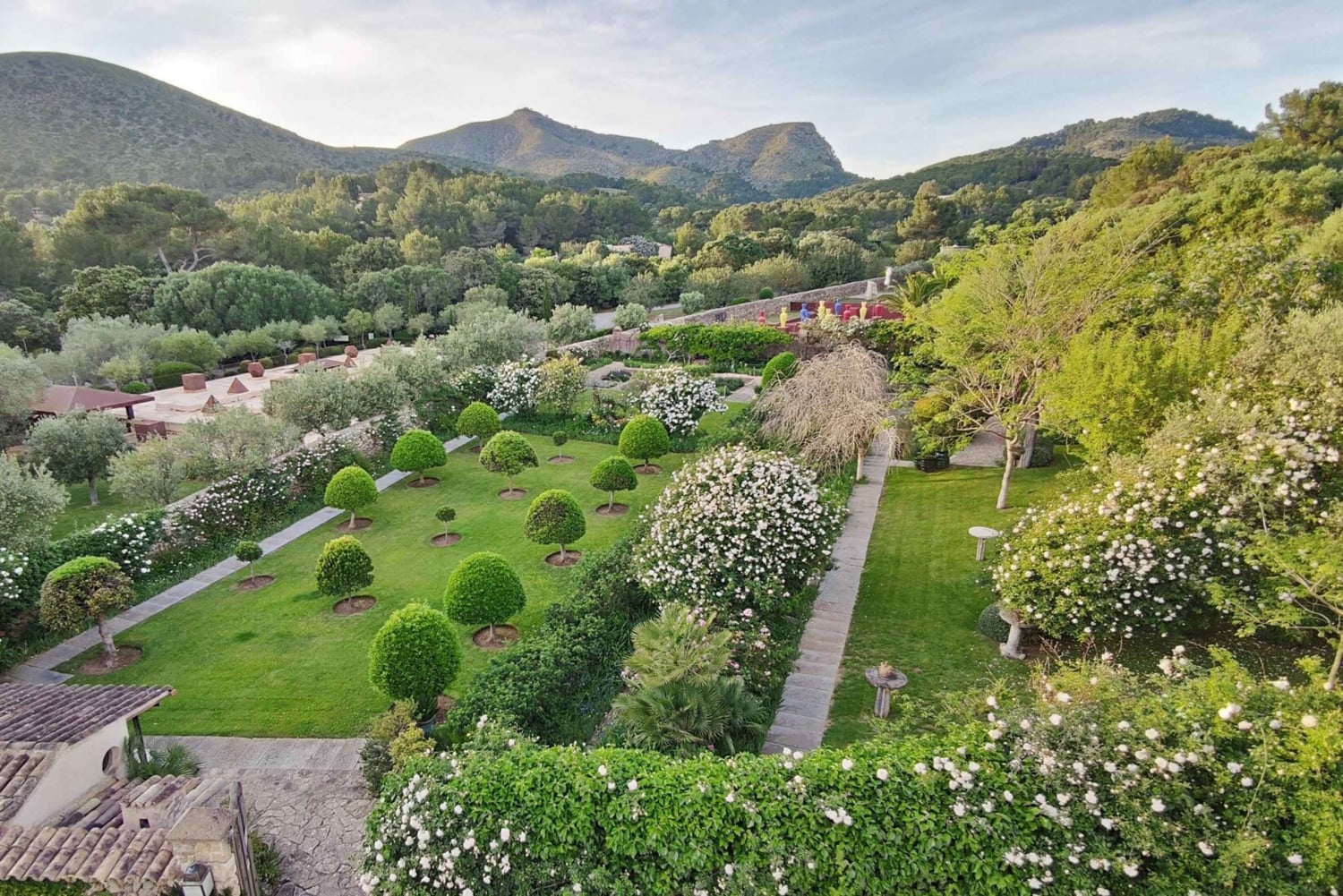 Alcudia : Billet d'entrée au Musée Sa Bassa Blanca