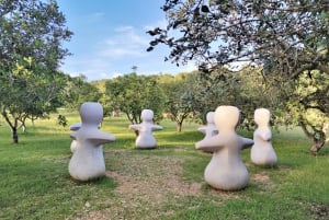 Alcudia : Billet d'entrée au Musée Sa Bassa Blanca