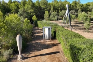 Alcudia : Billet d'entrée au Musée Sa Bassa Blanca