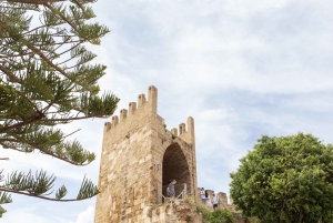 Alcudia Old Town Private Tour