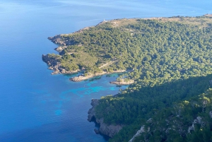 Privat båttur til Alcudia og Pollensa, kaptein, drivstoff, snorkling