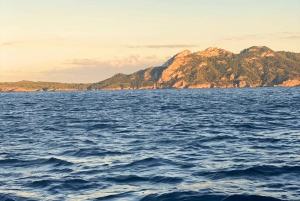 Privat båttur til Alcudia og Pollensa, kaptein, drivstoff, snorkling