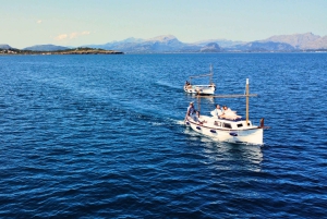 Privat båttur til Alcudia og Pollensa, kaptein, drivstoff, snorkling