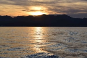 Privat båttur til Alcudia og Pollensa, kaptein, drivstoff, snorkling