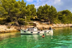 Rondvaart Alcudia & Pollensa, kapitein, brandstof, snorkelen