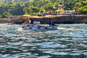 Rondvaart Alcudia & Pollensa, kapitein, brandstof, snorkelen