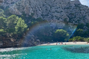 Alcudia, privat tur: Naturskøn 2,5-timers bådtur