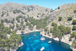 Alcudia: Romantyczny rejs pod żaglami z kolacją dla 2 osób