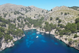 Alcudia: Romantyczny rejs pod żaglami z kolacją dla 2 osób