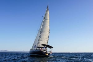 Alcudia: Sailing Yacht Excursion with Wine & Tapas