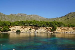 Alcudia: Sailing Yacht Excursion with Wine & Tapas