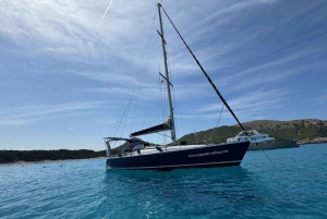 Alcudia: Utflykt med segelbåt och vin & tapas