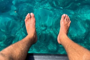 Alcudia: Observação de golfinhos ao nascer do sol em lancha