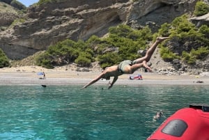 Alcudia: Observação de golfinhos ao nascer do sol em lancha