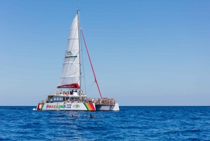 Alcudia: Solnedgangstur med katamaran, middag og snorkling