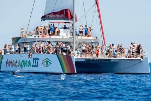 Alcudia: Excursión en Catamarán al Atardecer con Cena y Snorkel
