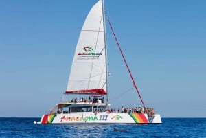 Alcudia : Excursion en catamaran au coucher du soleil avec dîner et plongée en apnée