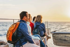 Alcudia: Catamarantocht bij zonsondergang met diner en snorkelen