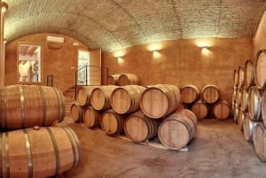 Alcudia: Vineyard Tour & Exclusive Wine Tasting Experience