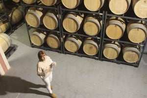 Alcudia Winecellar Tour: Vineyard Visit, Tasting of 5 Wines