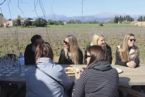Alcudia Winecellar Tour: Vineyard Visit, Tasting of 5 Wines