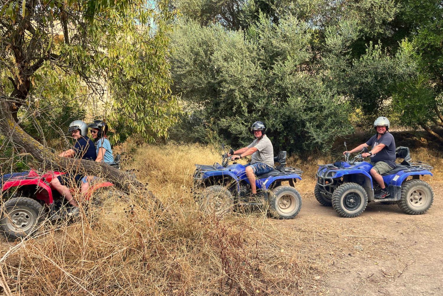 アンドラッチ：ガイド付きクワッド観光ツアー