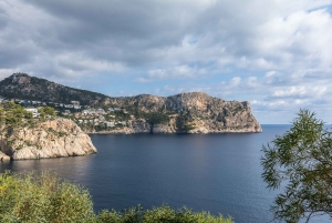 アンドラッチ：ガイド付きクワッド観光ツアー