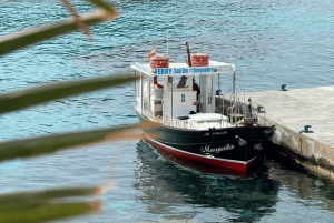 Andratx: Paseo en barco privado por la costa de Andratx