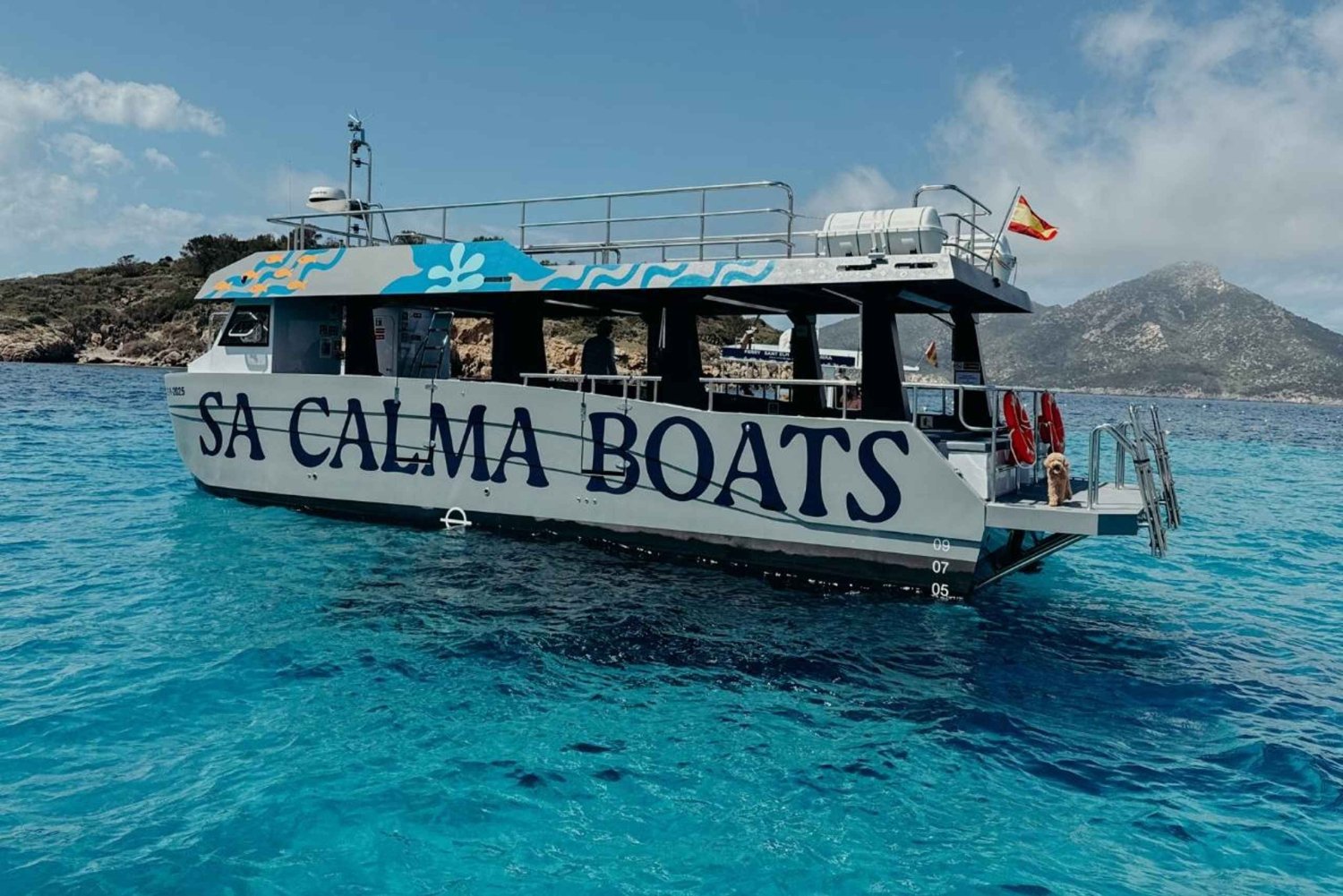 Andratx: Privat sejltur med skipper inkluderet langs Andratx-kysten