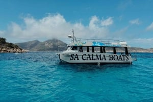 Andratx: Privat sejltur med skipper inkluderet langs Andratx-kysten