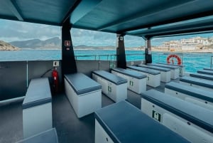 Andratx: Privat sejltur med skipper inkluderet langs Andratx-kysten