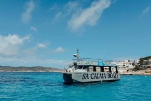 Andratx: Privat sejltur med skipper inkluderet langs Andratx-kysten
