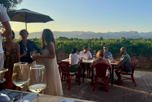 マヨルカ島：有名な「パエリアマン」とのディナー体験