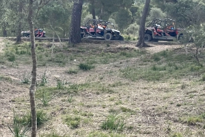 From East Mallorca: Guided Beach and Mountain Buggy Tour