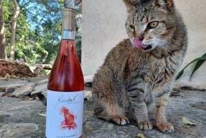 Binissalem: Individual vineyard tour and wine tasting in German