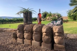 Visite guidée des vignobles et de la cave de Bodega Butxet avec dégustation