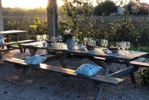 Visite guidée des vignobles et de la cave de Bodega Butxet avec dégustation