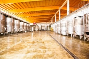 Bodegas Vi Rei: rondleiding door wijngaard en trein met wijnproeverij