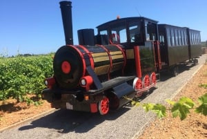Bodegas Vi Rei: rondleiding door wijngaard en trein met wijnproeverij