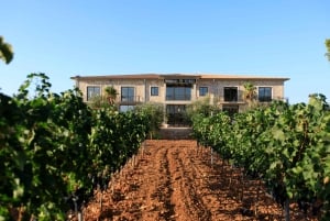 Bodegas Vi Rei: rondleiding door wijngaard en trein met wijnproeverij