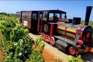 Bodegas Vi Rei: rondleiding door wijngaard en trein met wijnproeverij