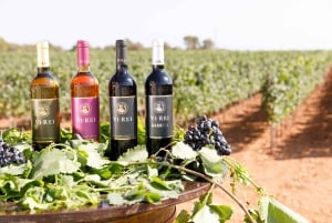 Bodegas Vi Rei: rondleiding door wijngaard en trein met wijnproeverij